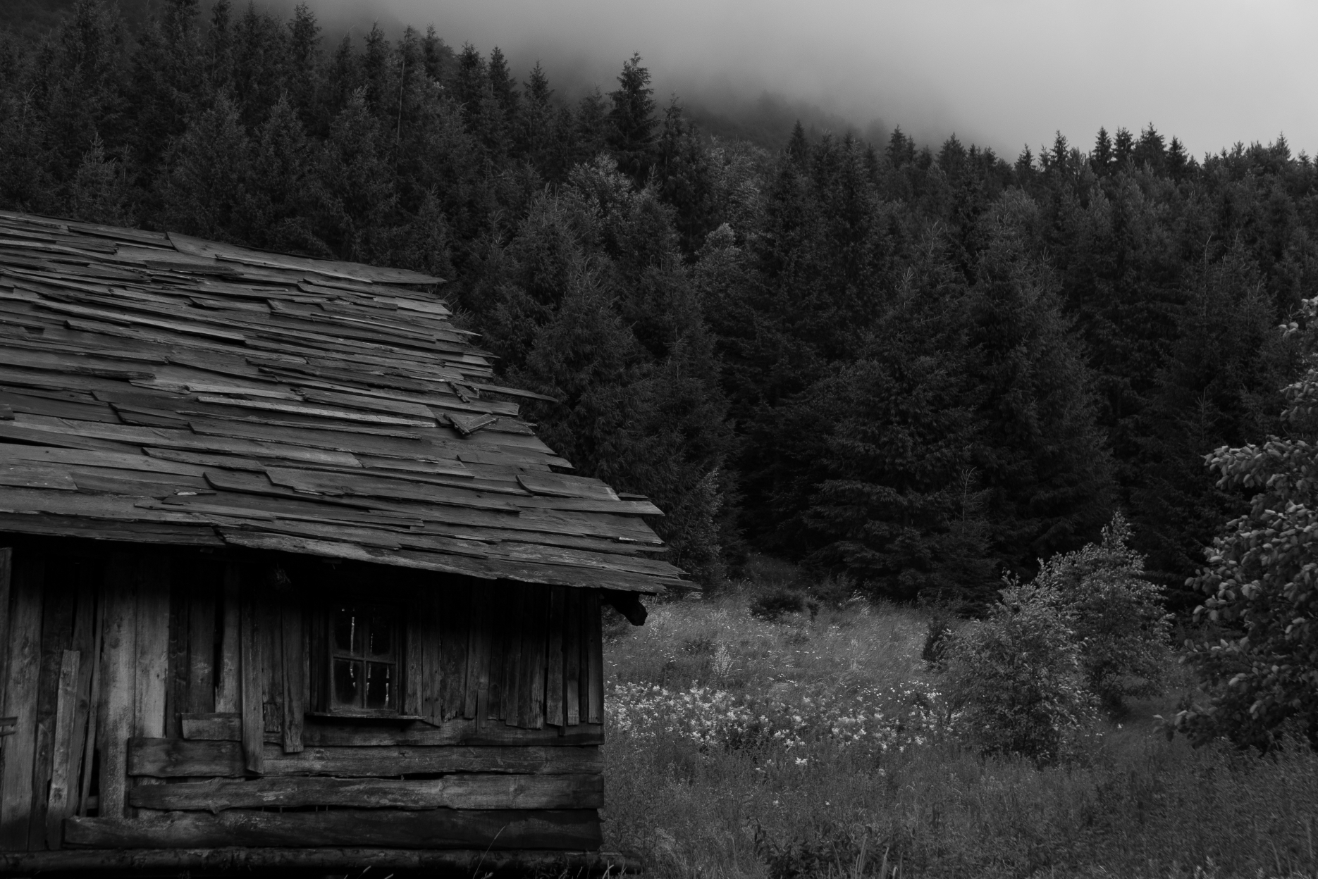 Isolation